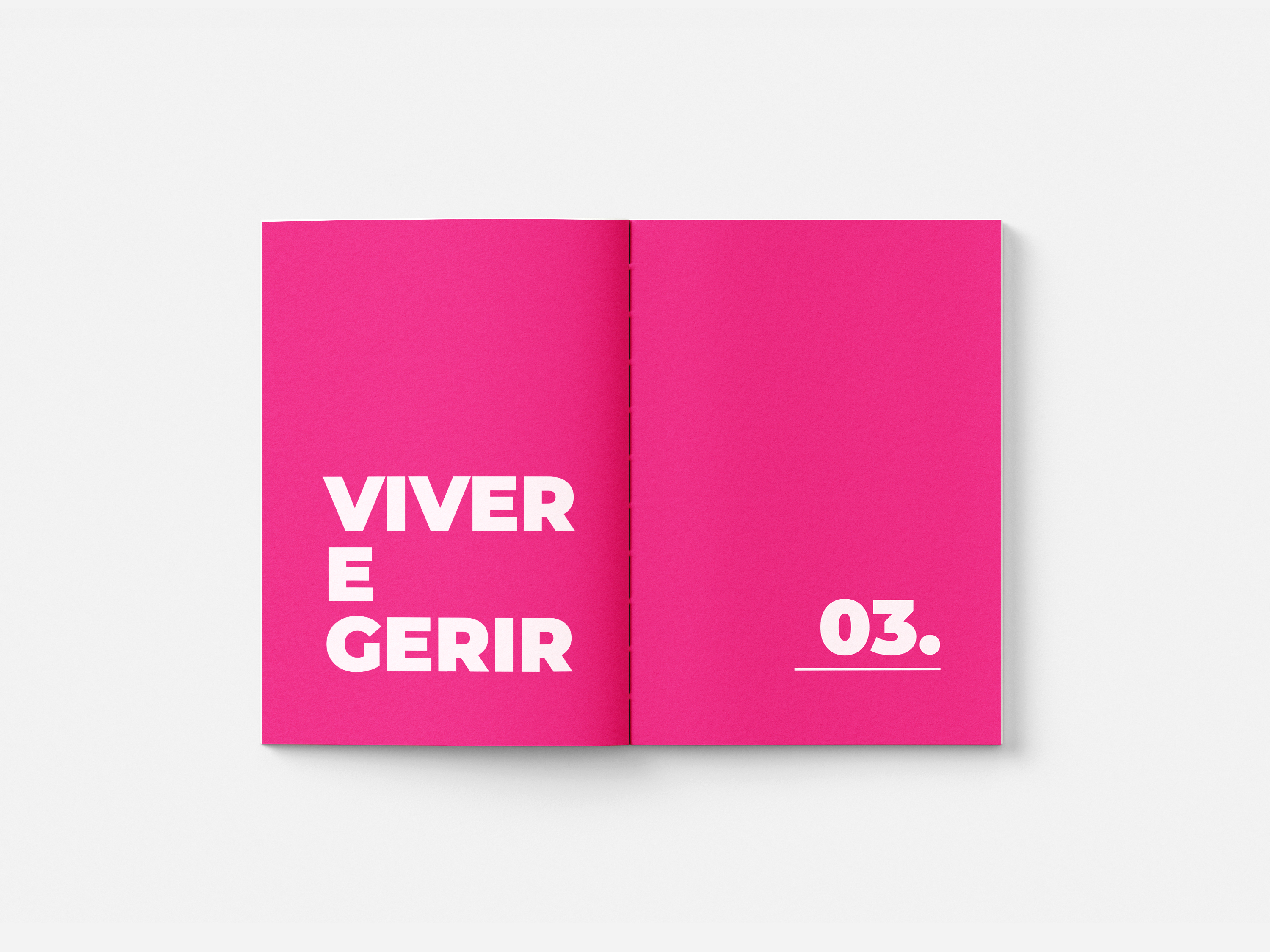 Livro 2 - imagem 7 do projeto MitOConexão